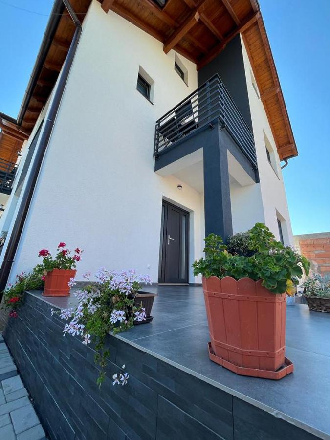 Casa Lucia Otel Sibiu Dış mekan fotoğraf